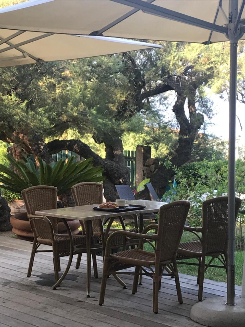Hotel Thalassa Cargèse Zewnętrze zdjęcie